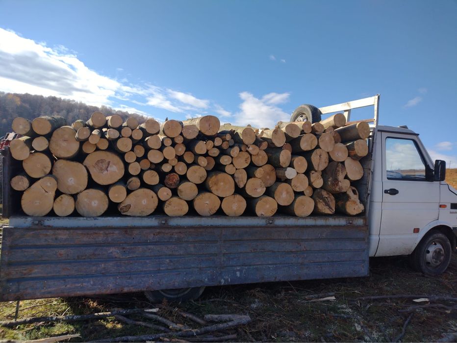 Vand lemne de foc la un pret avantajos:fag