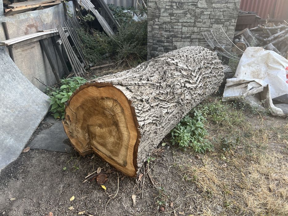 Продам полено для столешницы орех