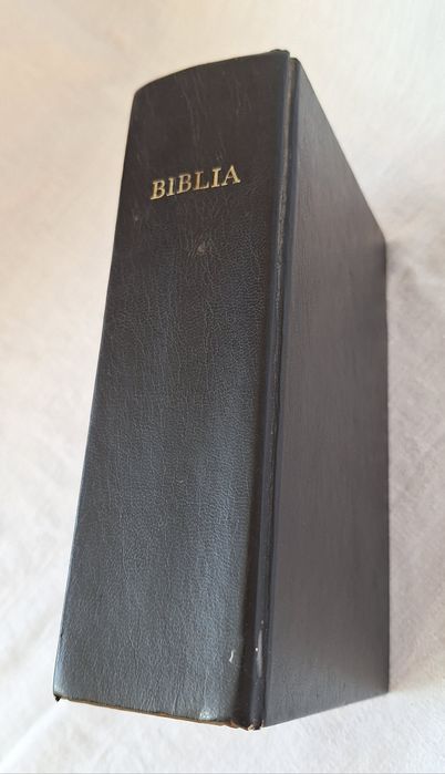BIBLIE  printata Danemarca