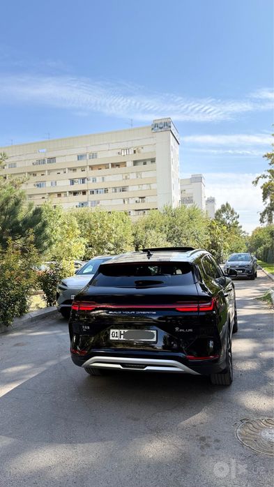 Byd chempion 605 tali full 2024 qora kraska tozza