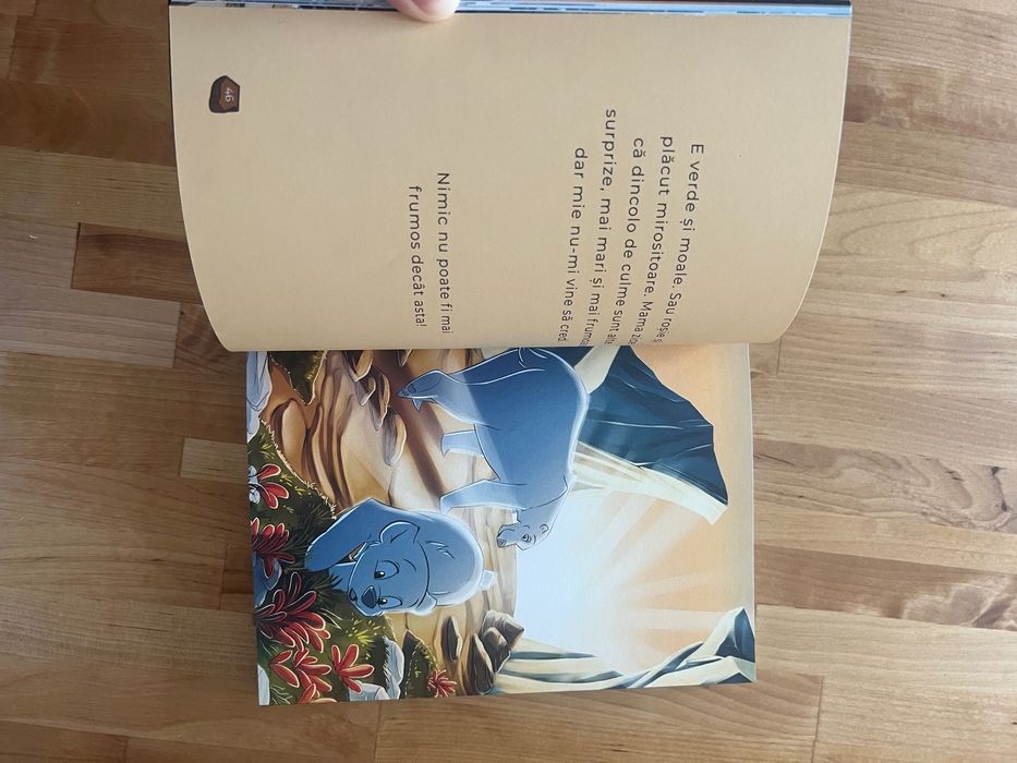 Carte copii Fram ursul polar