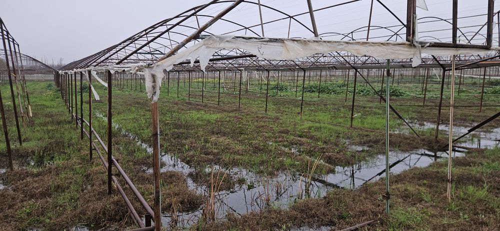теплица 3 гектар жой ижарага берилади