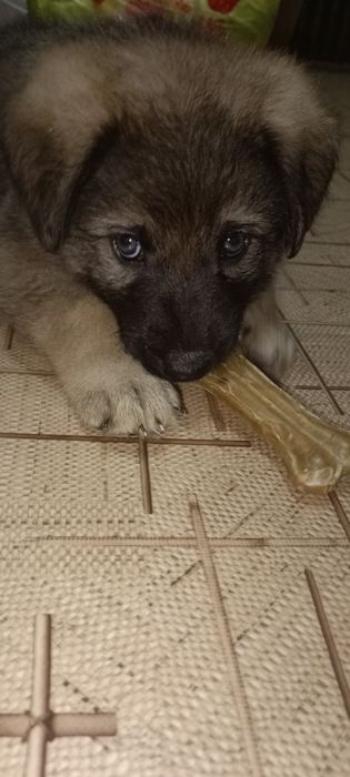 Мальчик красавчик
