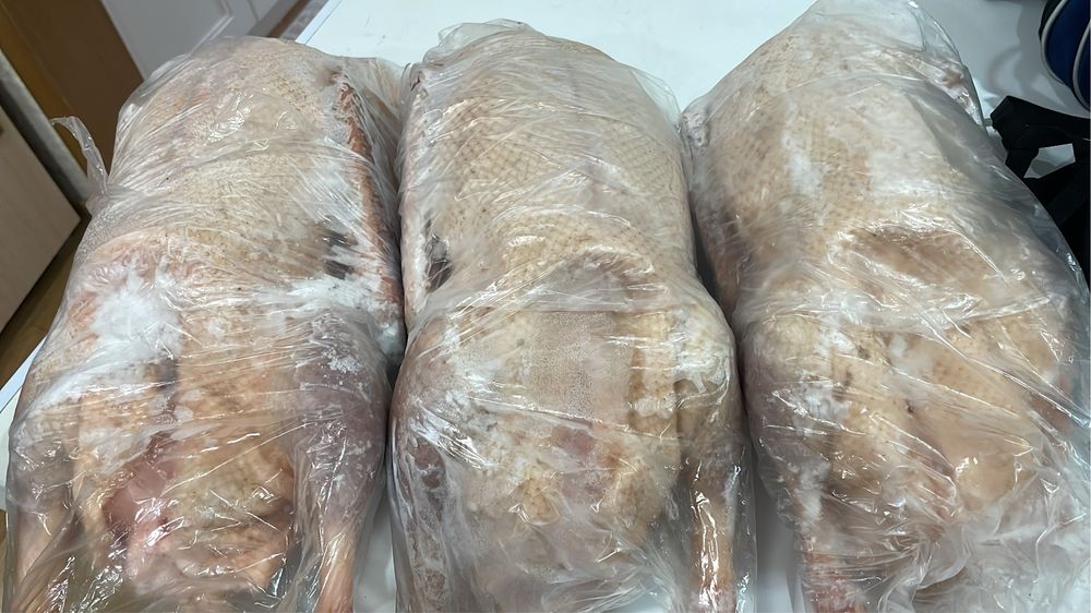 Продам гусей домашние чистые.