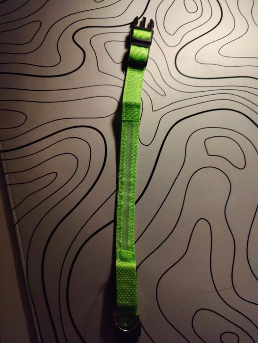 Светящиеся ошейники для собак