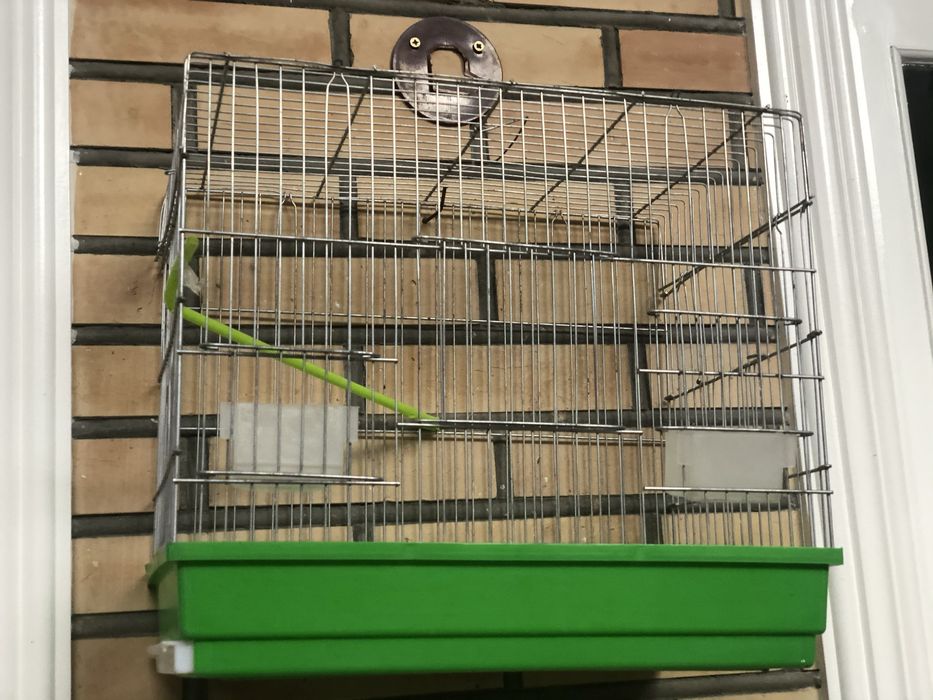 Kletka sotildi papugaylar qushlar uchun