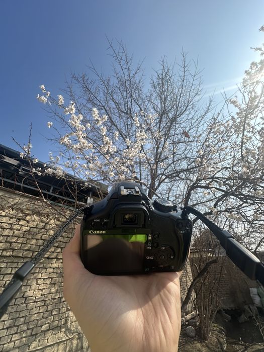 Canon 450D sotiladi holati alo