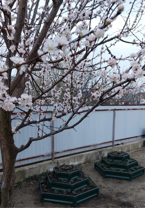 Клумба трехярусная