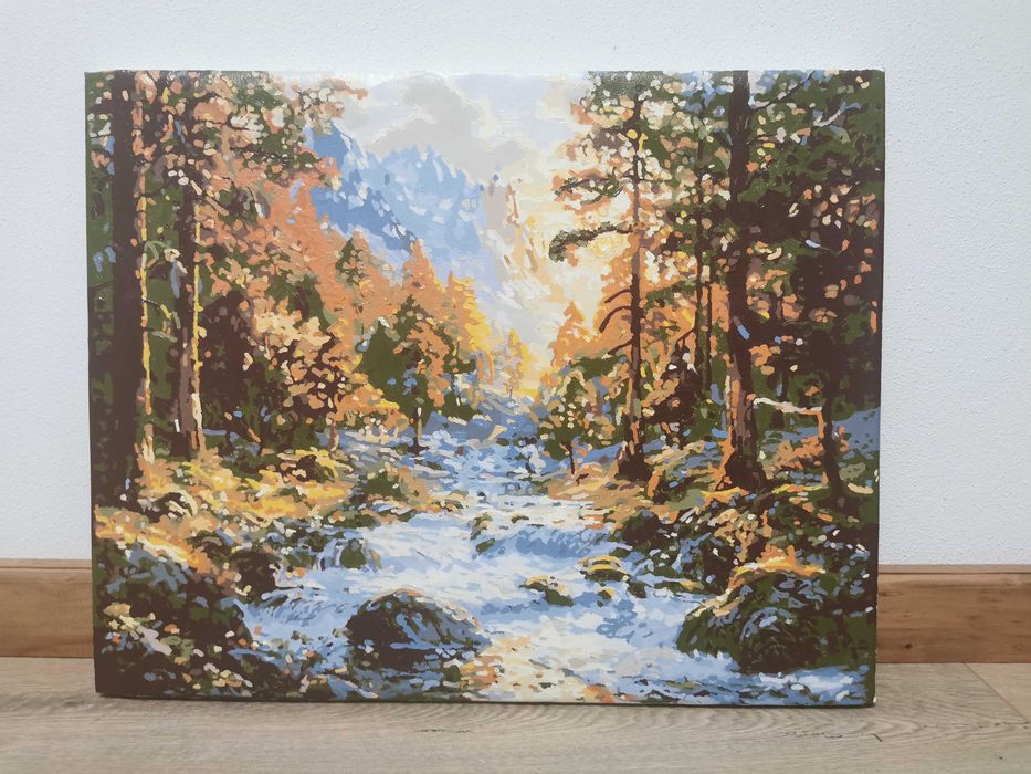 Tablouri pictate manual