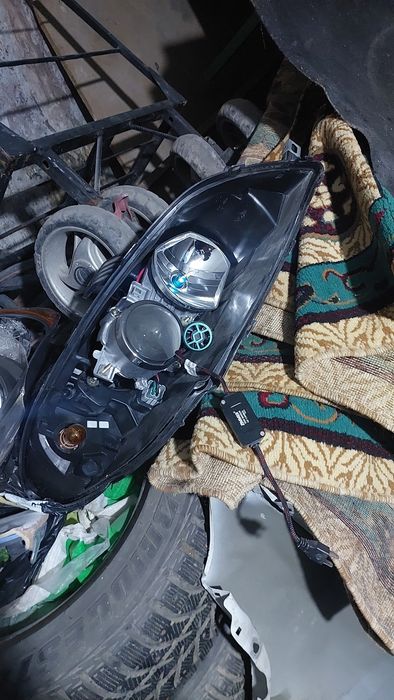 Jentra amerikanka farasi bir tarafi singan