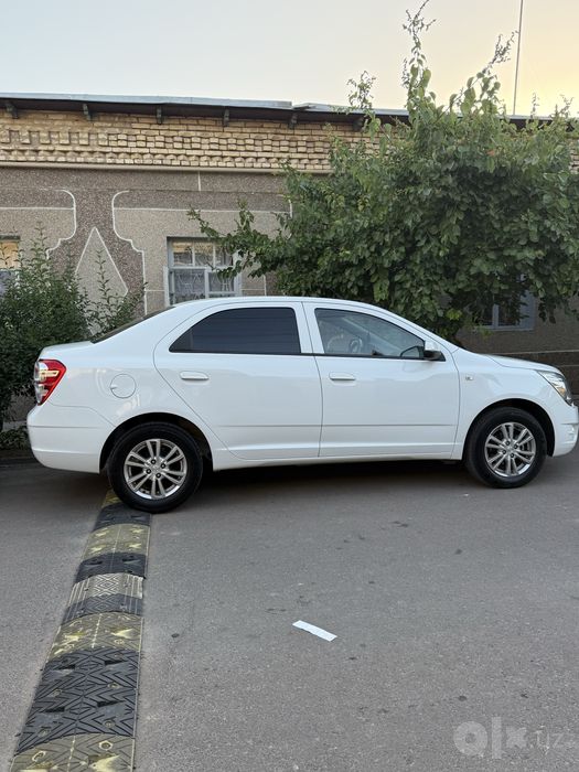 Kobalt sotladi 2025