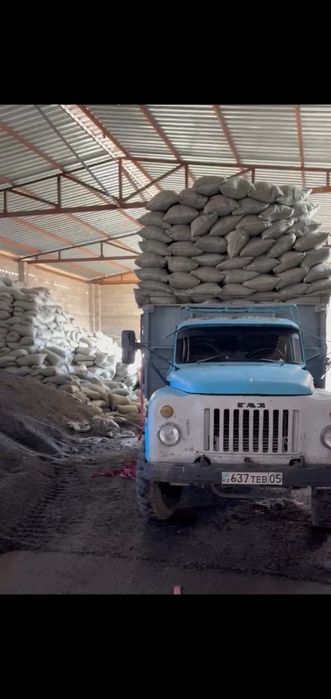 Шемішкенің қабығы (лузга подсолнечника)