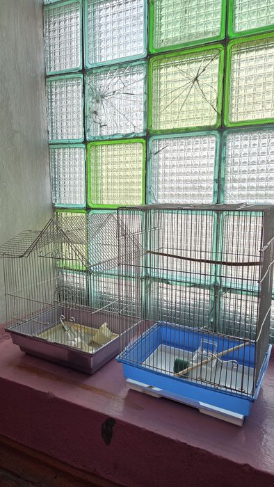 Клетки для попугая