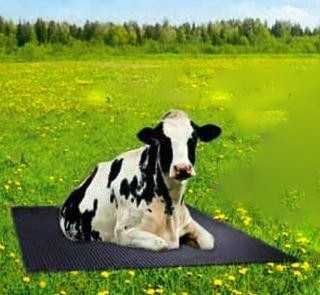 Резина производство