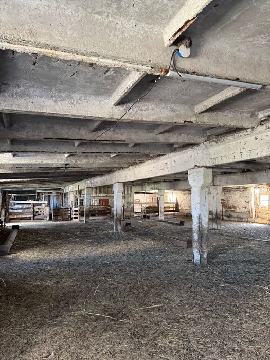 Продам Крестьянское хозяйство