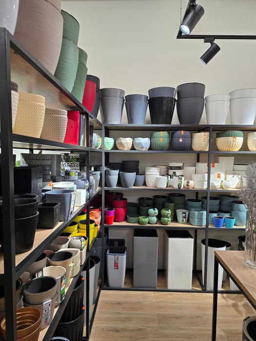 Магазин комнатных растений в центре города с большим ассортиментом