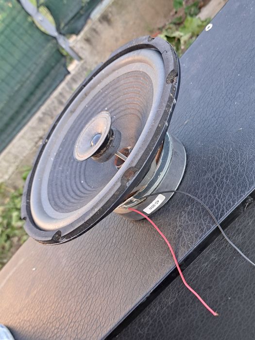 Difuzoare 10 inch  akai X10