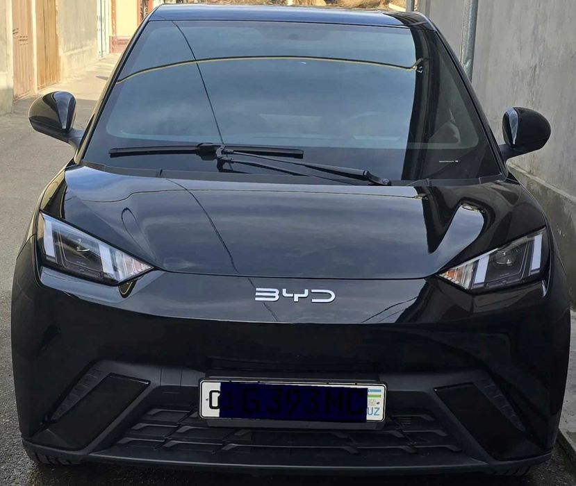 byd seagull pad zakaz