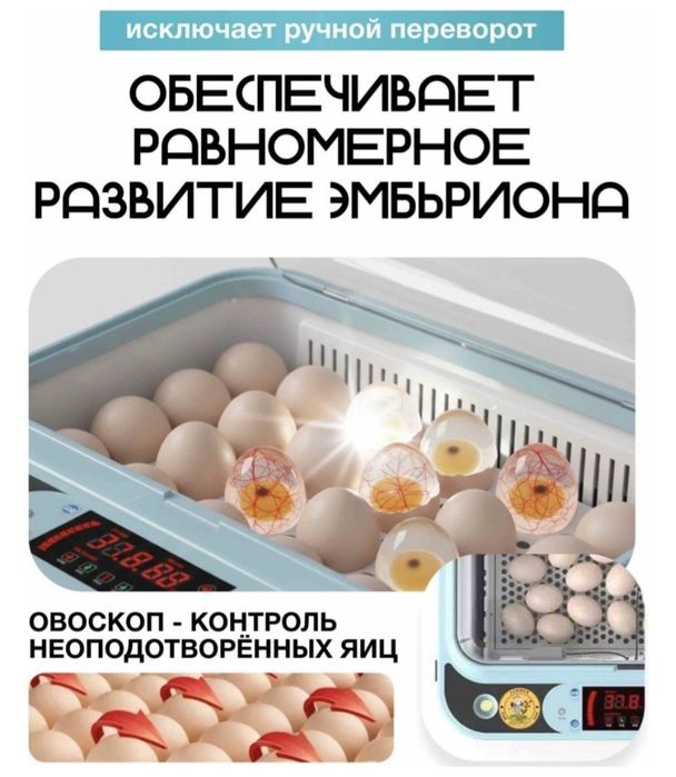 Инкубатор автоматически