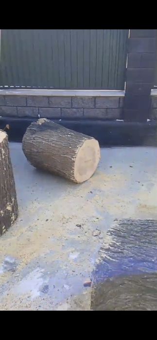 Чурбак  Карагач под рубку мяса.