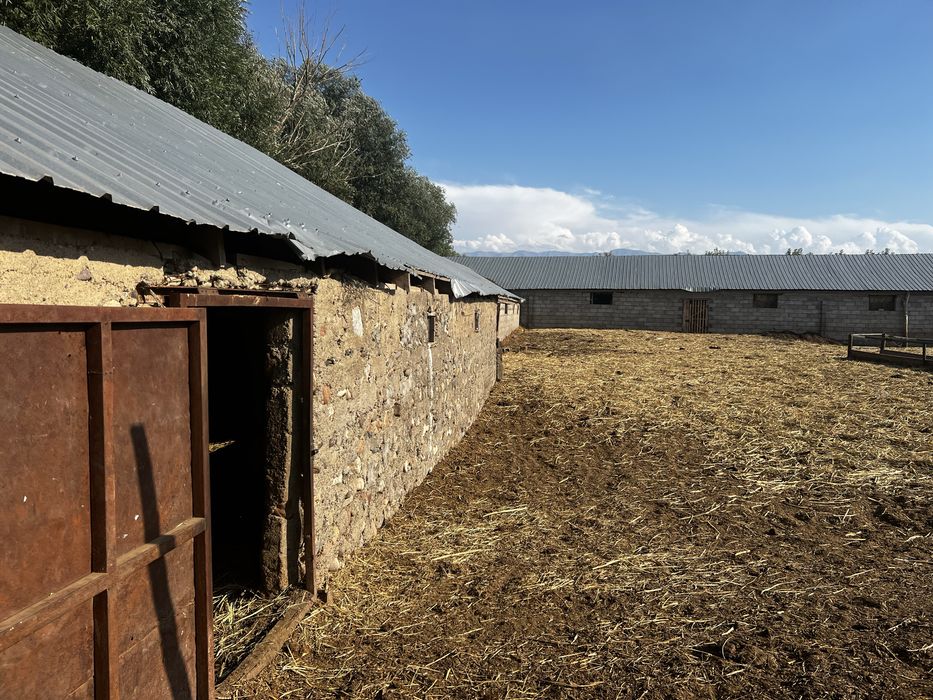 Продается Крестьянское хозяйство