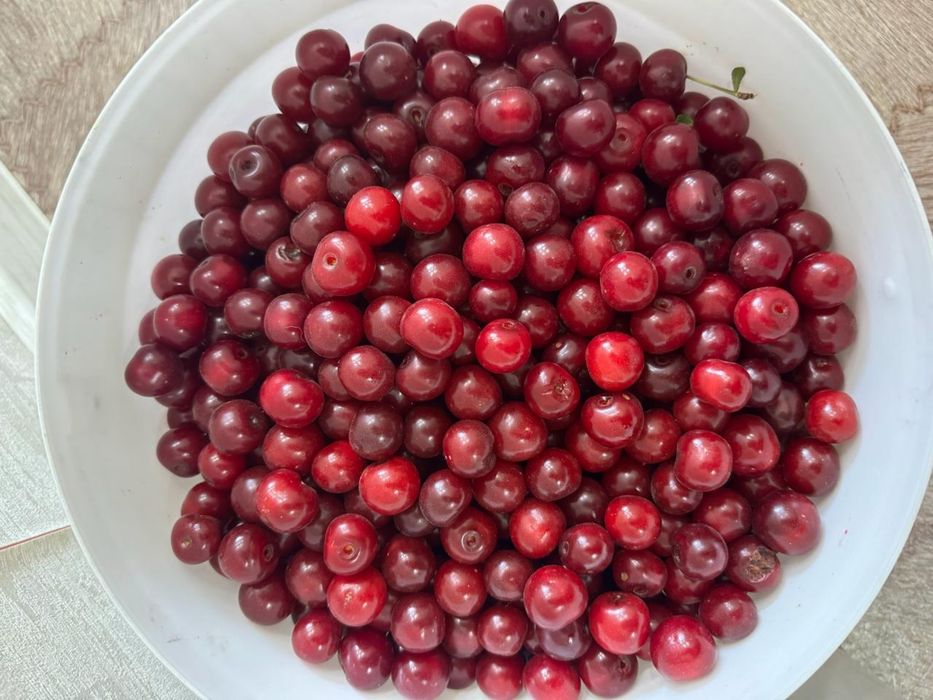 Продается Дачная Вишня