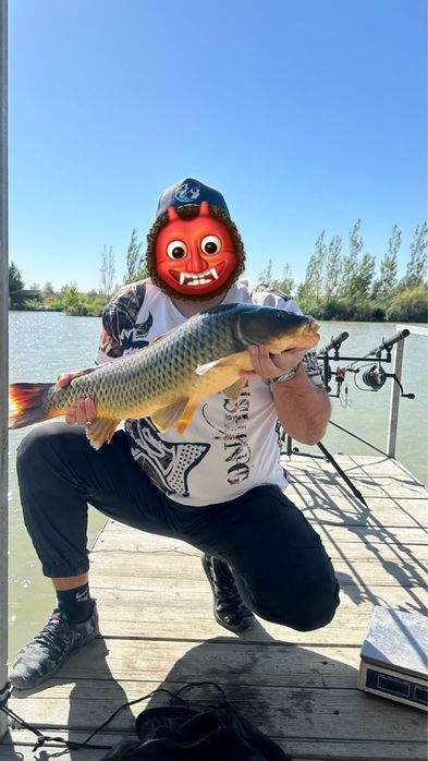 Карповый набор Срочно