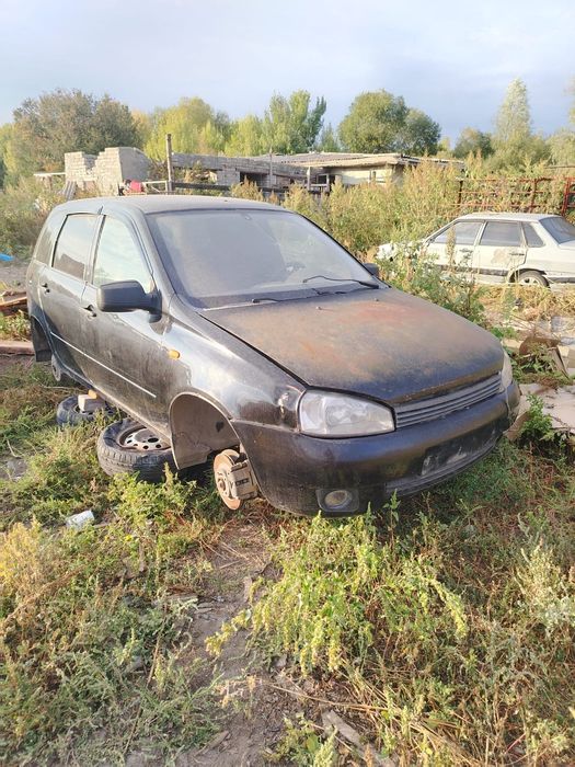Калина полный разбор