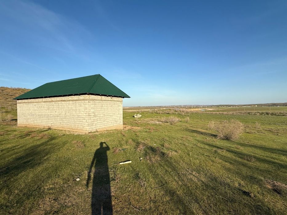 100 гектар жайылым жер Шардара