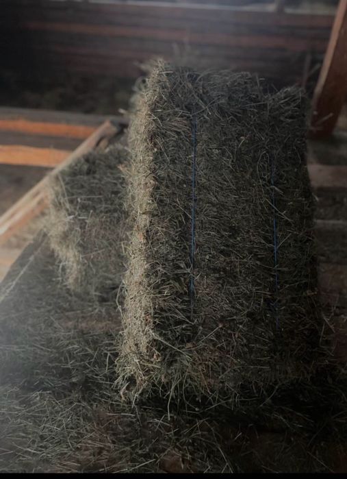 Baloti de otava rotund cu folie si baloti de otava