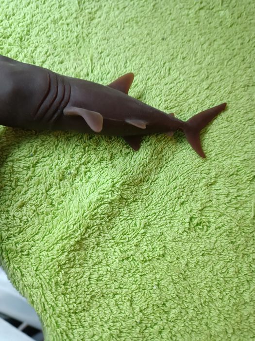 Momeala pești mari 16 cm