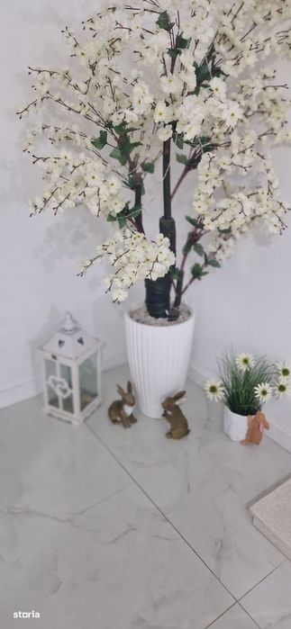 Case Parter, Finisate, Toate Utilitatile, 185000 Euro Tva Inclus