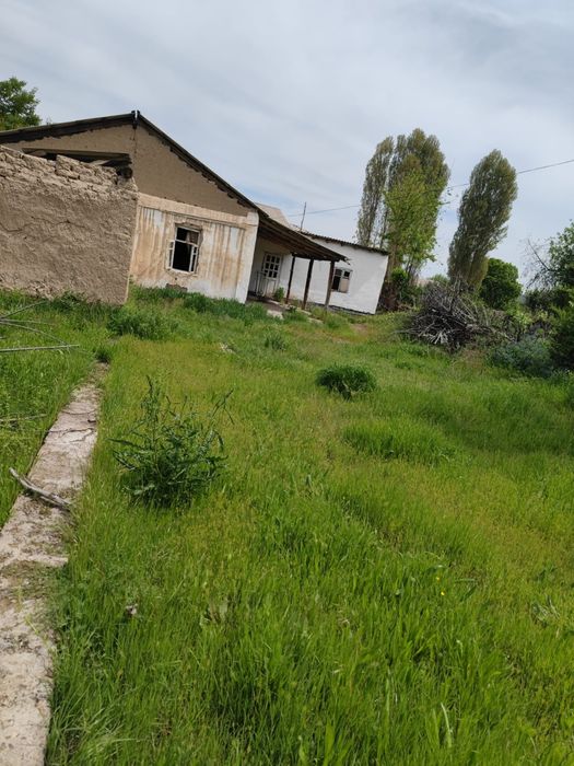 Уй сатылады сарагашта
