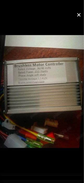 Vand trotineta adulti