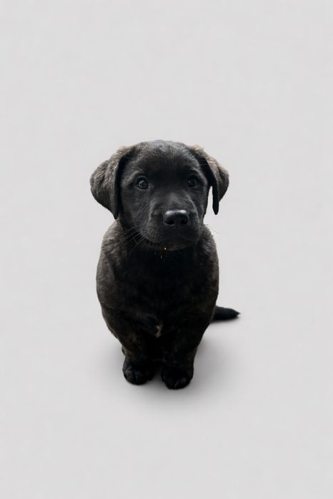 Отладим девочку 2 месяца