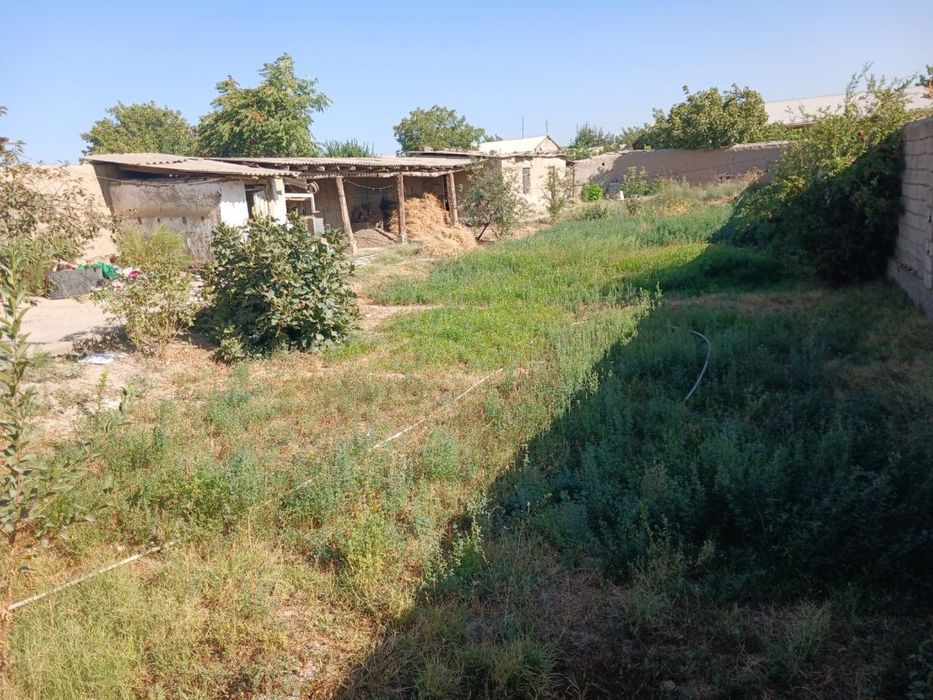 Nayman Hovli Yo’lni ustida