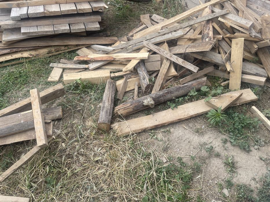 Отынға ағаштар тегін беремін. Өздерің әкетесіңдер
