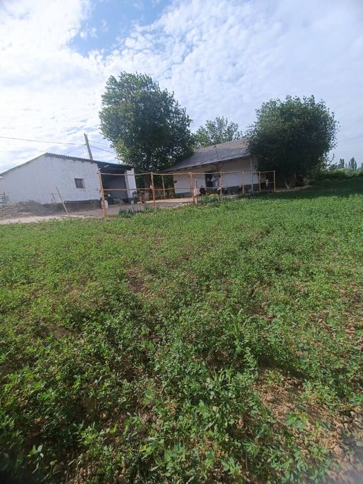 Үй сотилади 1 гектар 30 сотикик