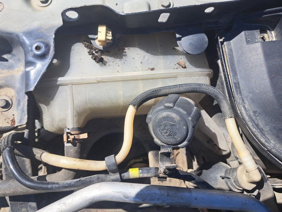 Vas expansiune Renault Megane 2 [Fabr 2002-2008] Hatchback OEM