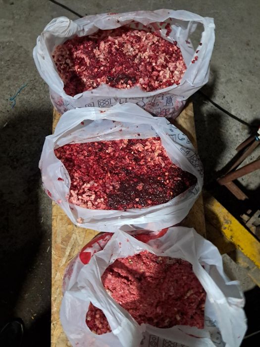 Продам собачий фарш