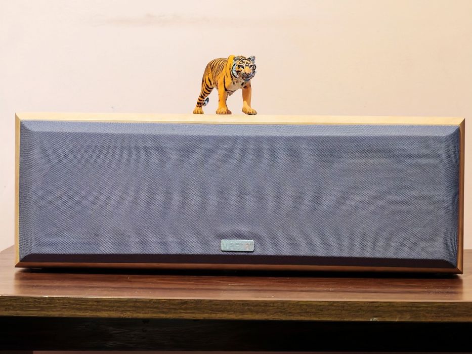 Magnat Motion 990 SET. Boxa centru premium. Estetică raft. Preț fix !