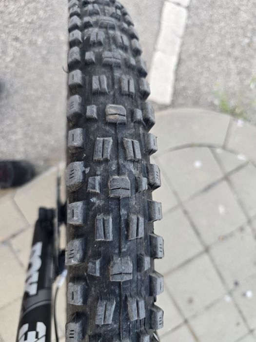 Canyon Spectral Cf8 CLLCTV XL