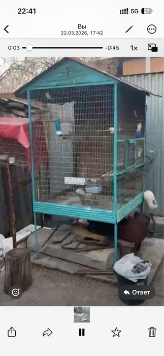 Продам птичий Валер