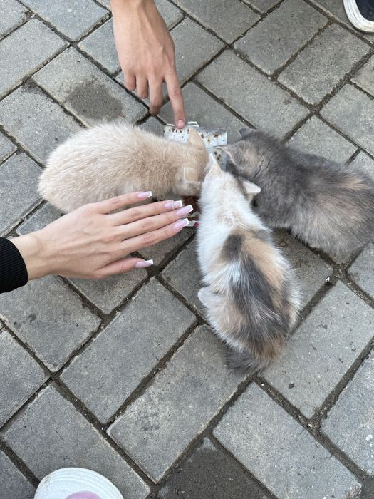 Добрые люди не отходите мимо