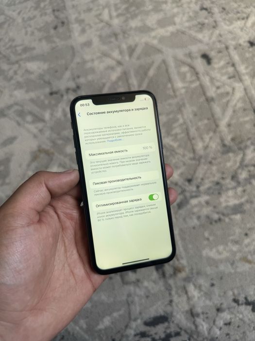 iPhone X 256gb 100%