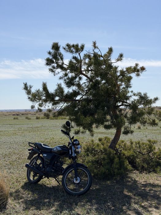 Racer 110GS, racer alpha