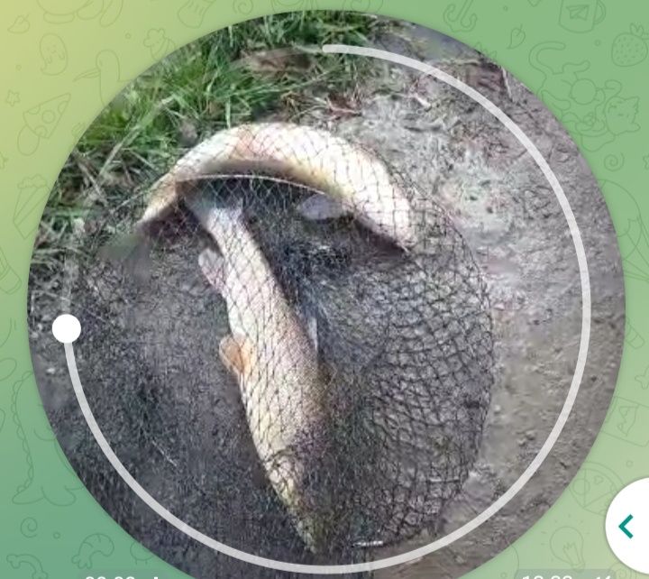 Ховли люкс жой сотилади, кибрайдан ховли люкс жой