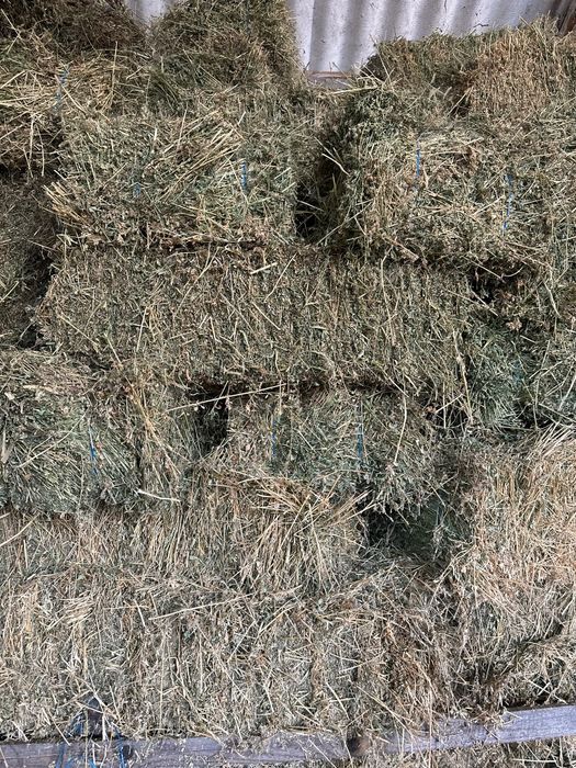 Baloti fan sau Lucerna Rotunzi 1,2 m x 1,2 m Transport inclus RO HU