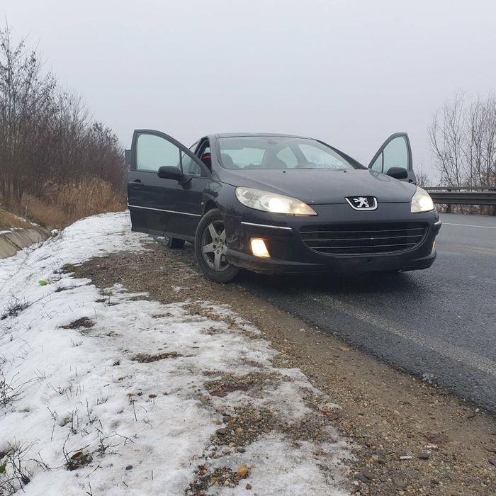 Dezmembrări / Peugeot 407