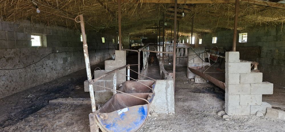 Фазенда аренда продажа